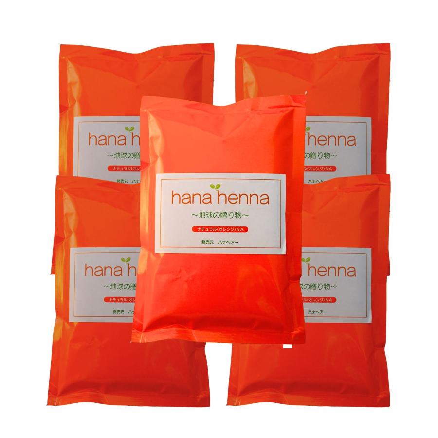 ハナヘナ ナチュラル（ヘナ）100g 6個セット ヘナ ハナヘナ hana