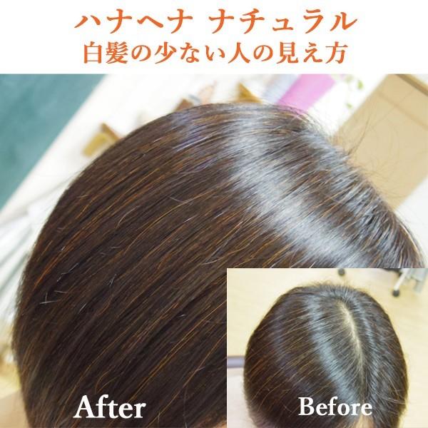 ヘナ ハナヘナ hana henna ヘナナチュラル 100g 5個セット 白髪染め オレンジ｜kaminoya-kanno｜06