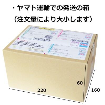 ヘナ ハナヘナ hana henna ナチュラル＆インディゴ 100g 二度染めセット ダークブラウン 白髪染め 口コミ｜kaminoya-kanno｜11