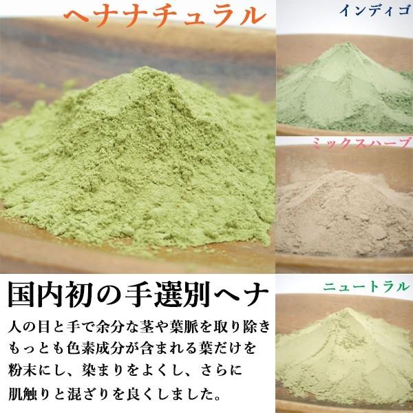 ヘナ ハナヘナ hana henna ヘナナチュラル ミックスハーブ 100g 各1個