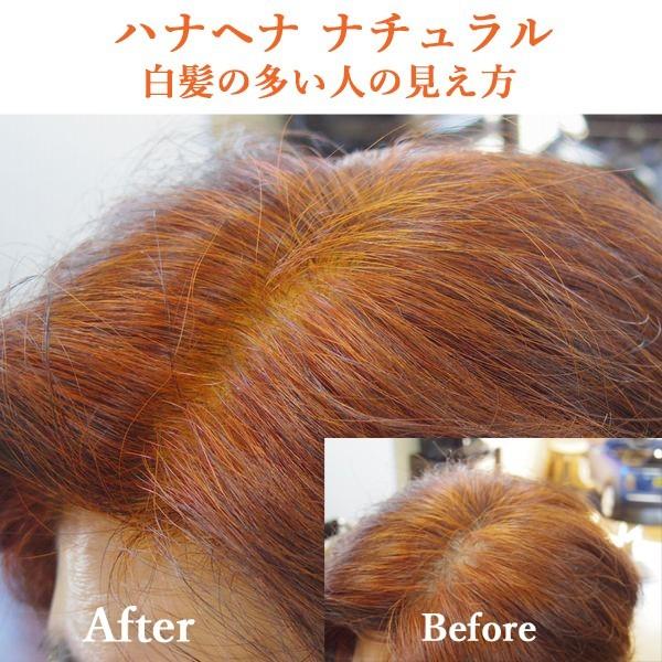 ヘナ ハナヘナ hana henna ヘナナチュラル ミックスハーブ 100g 各1個