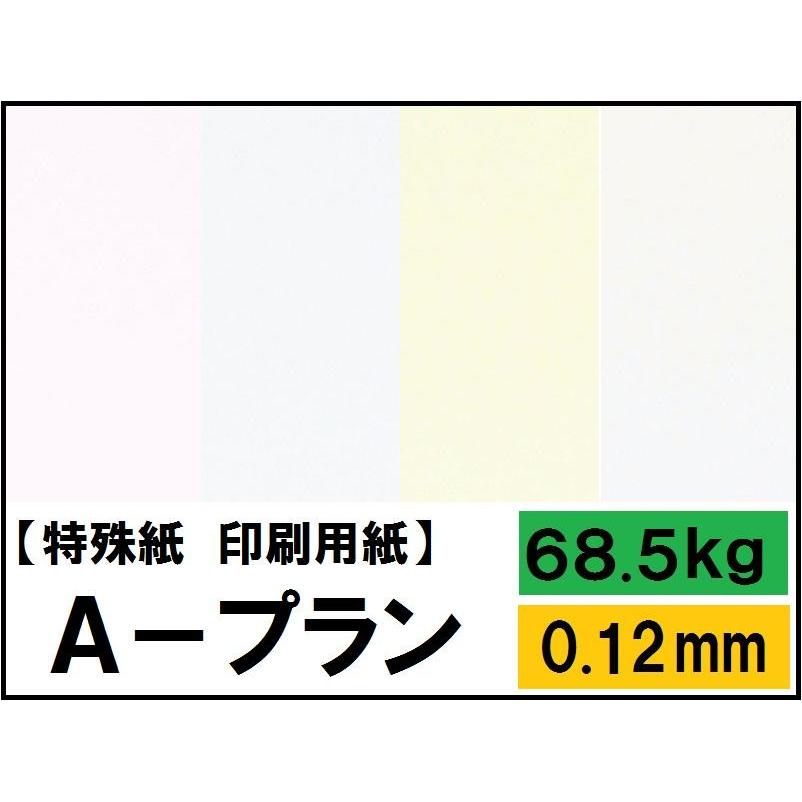 A-プラン 68.5kg(0.12mm) 選べる6色 4サイズ(A3 A4 B4 B5) (ファンシー