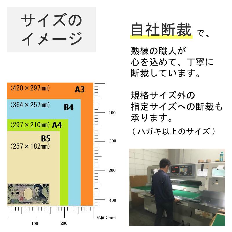 色上質紙 中厚口 A3 50枚入り カラー用紙｜kamiolshop｜06