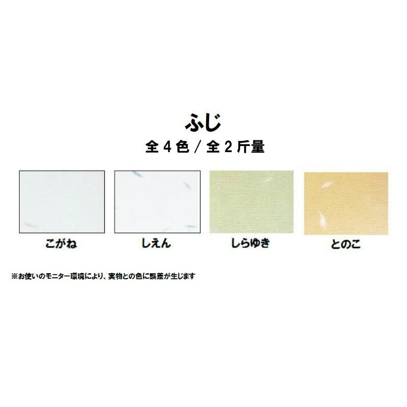 ふじ 110kg(0.16mm) 選べる4色 4サイズ(A3 A4 B4 B5) 特殊紙 ふじ 110kg(0.16mm) 選べる4色 4サイズ(A3 A4 B4 B5) 特殊紙
