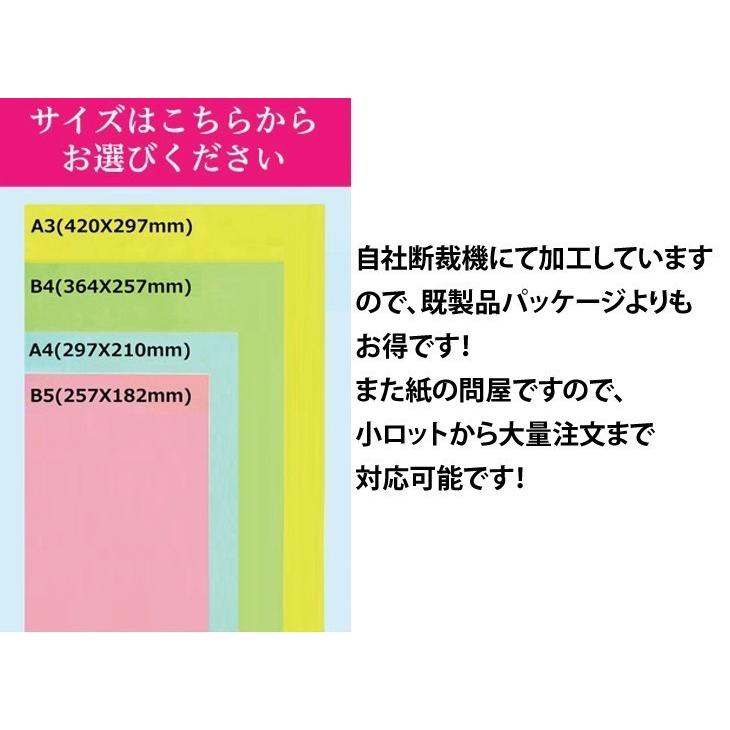 フリッター 200kg(0.39mm) 選べる6色,B4 100枚 特殊紙 ファンシーペーパー 印刷用紙｜kamiolshop｜03