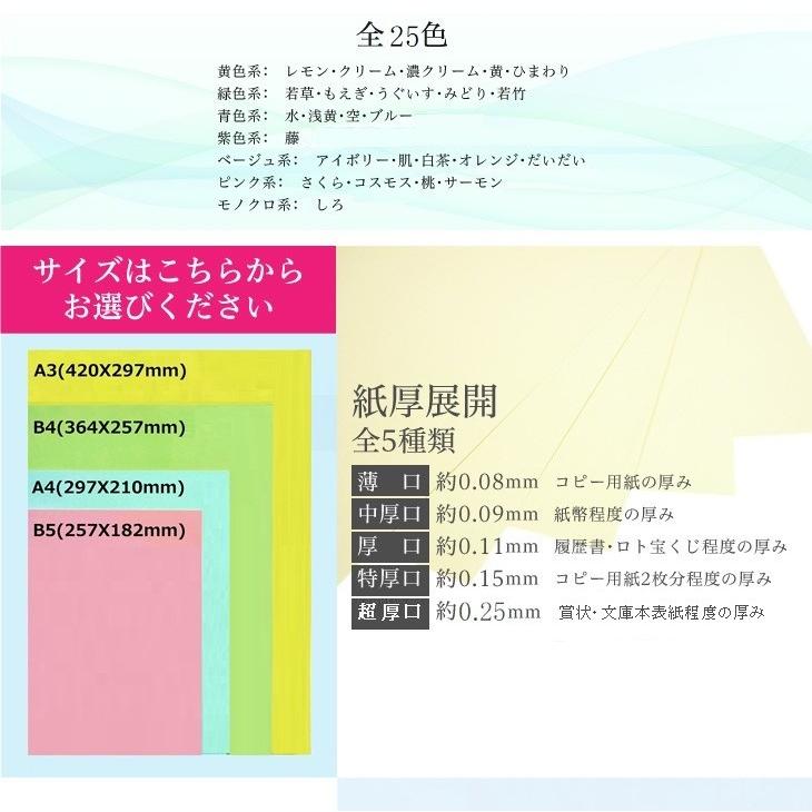 激安商品 25色と色数豊富なカラーペーパー チケット チラシ 図画工作用紙 色上質紙 厚口 5000枚入り 画材用紙 工作紙 Oyostate Gov Ng