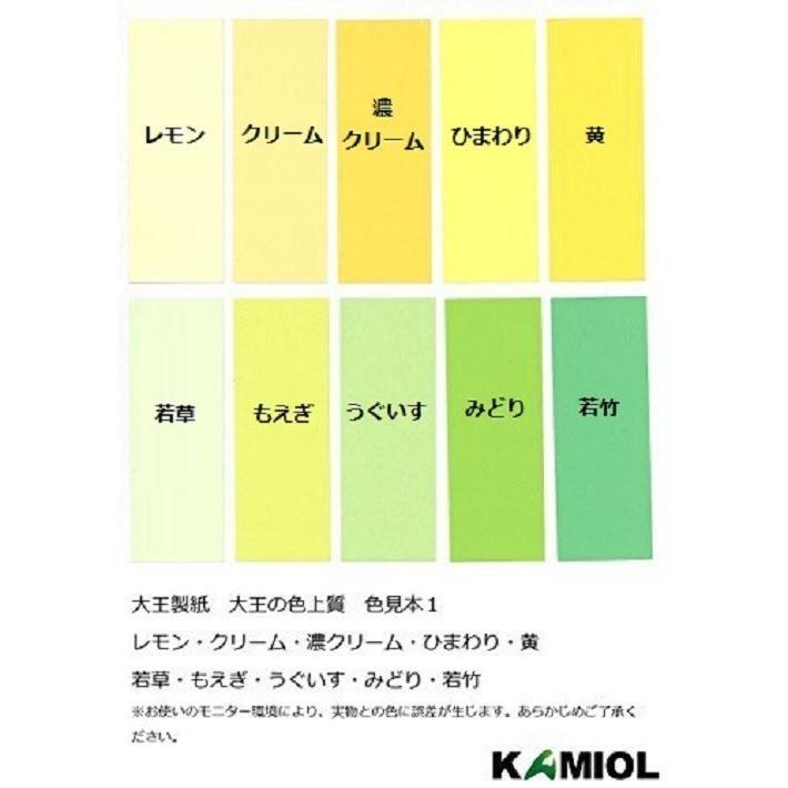 即納特典付き カラーコピー用紙 色上質紙 特厚口 A3 2500枚入り もえぎ 新着商品 Drjuice2u Com