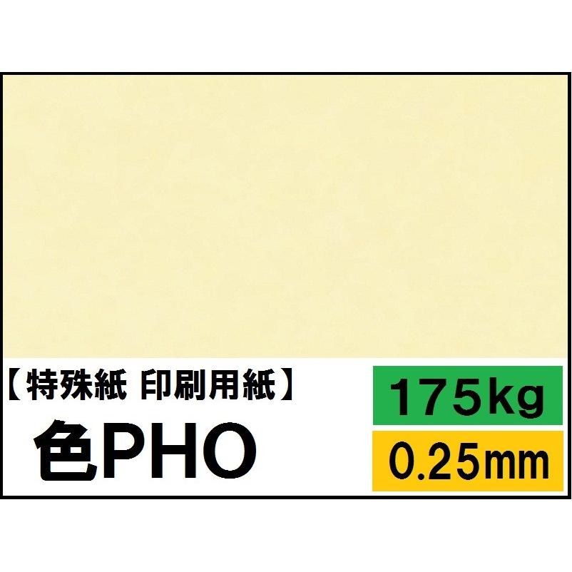 色PHO 淡クリーム 175kg(0.25mm) 4サイズ(A4 A3 B4 B5) (印刷用紙
