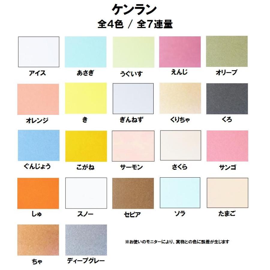 ケンラン 225kg(0.28mm) 選べる4サイズ(A3 A4 B4 B5) (カラーペーパー