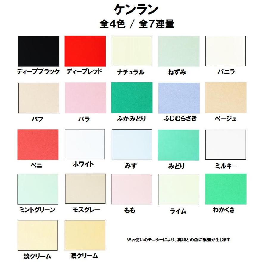 ケンラン 400kg(0.50mm) B5 100枚 (カラーペーパー ケント紙)の画像