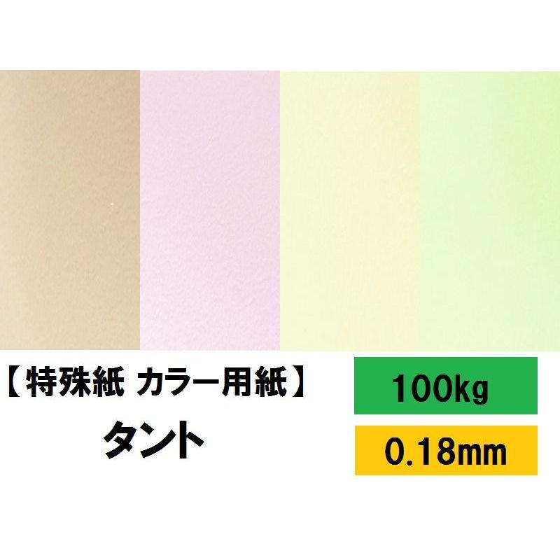 TANT(タント) 100kg(0.18mm) 選べる200色 4サイズ(A3 A4 B4 B5