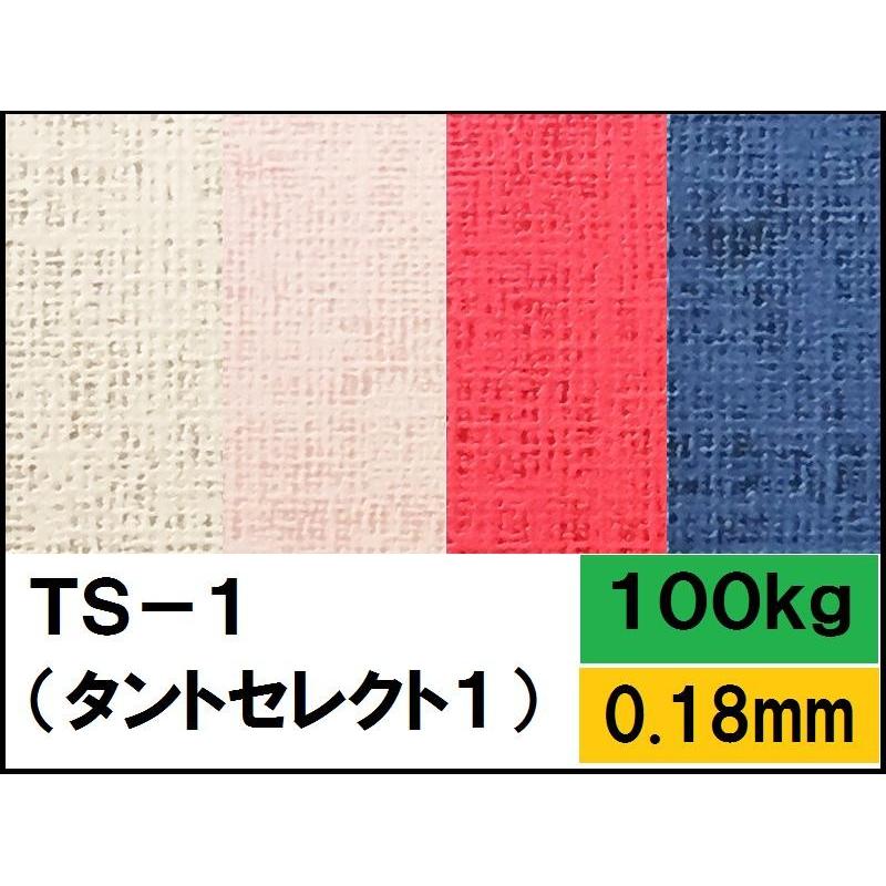 TS-1(タントセレクト-1) 100kg(0.18mm) 選べる16色,4サイズ(A3 A4 B4 B5) (ファンシーペーパー)｜kamiolshop