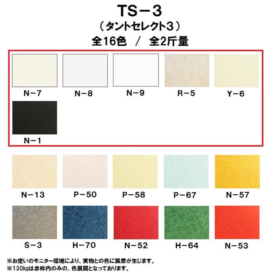TS-3(タントセレクト-3) 130kg(0.23mm) 選べる6色 4サイズ(A3 A4