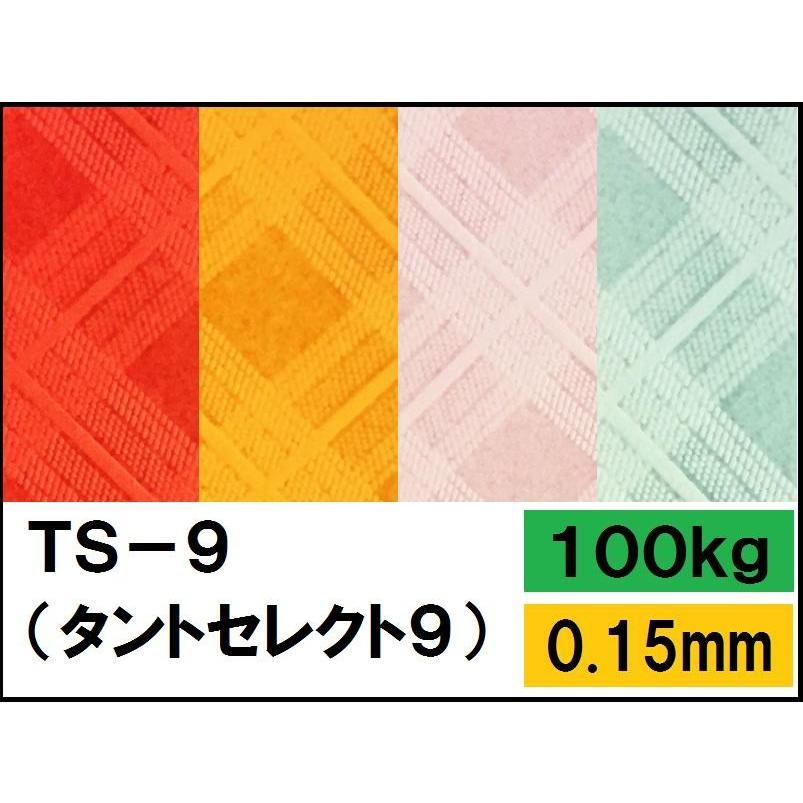色違いS 被りなし100種100枚 ta9 色違いS 被りなし100種100枚 ta9 シャイニートレジャーex」色ちがいの