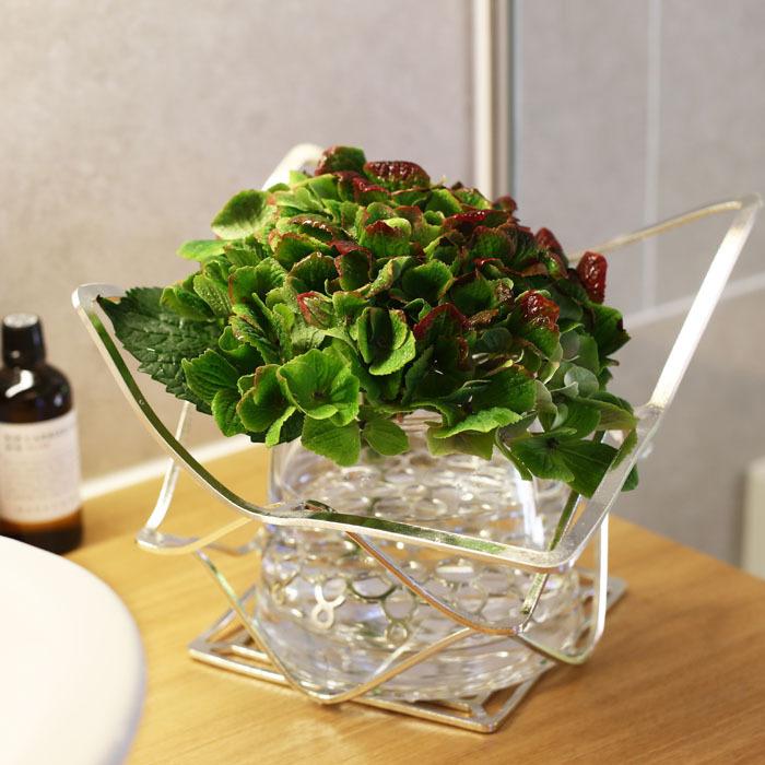 能作 KAGO スクエア L 501400 小物入れ フルーツトレイ 菓子器