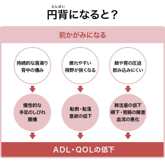 フランスベッド 円背サポートチェア ENN-01 ENN-02 椅子 高座椅子 肘付 円背 腰対策｜kamishima-living｜06