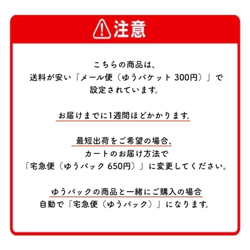 ケラスターゼ ギフトショッパー（単品の場合ゆっくり配達のメール便