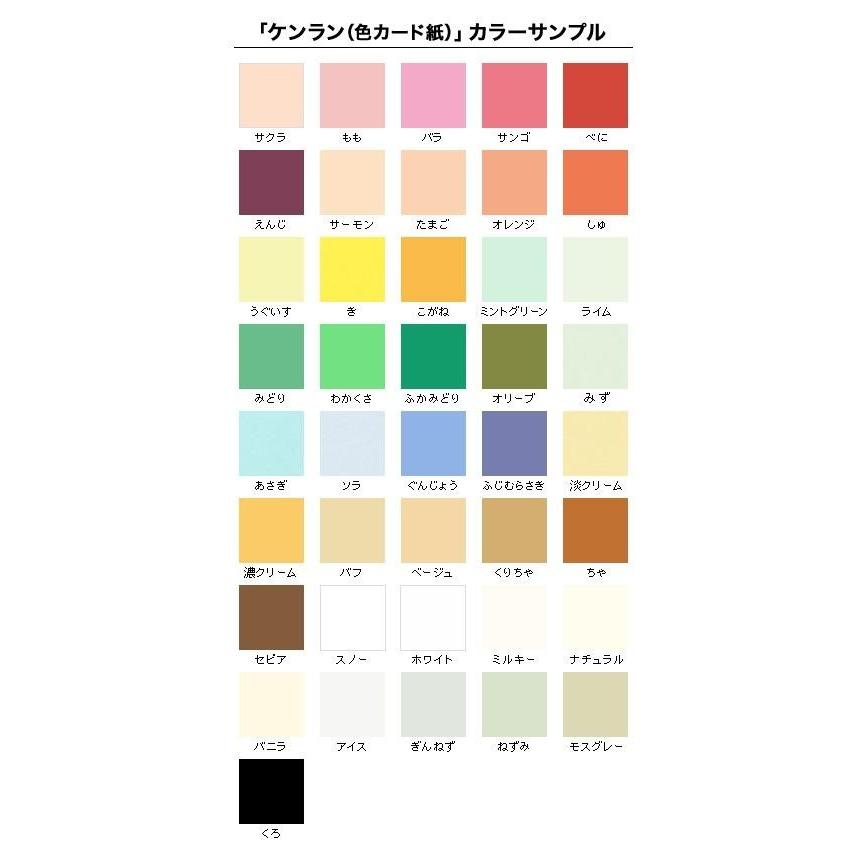 ケンラン（色カード紙）＜180＞B4/500枚の画像