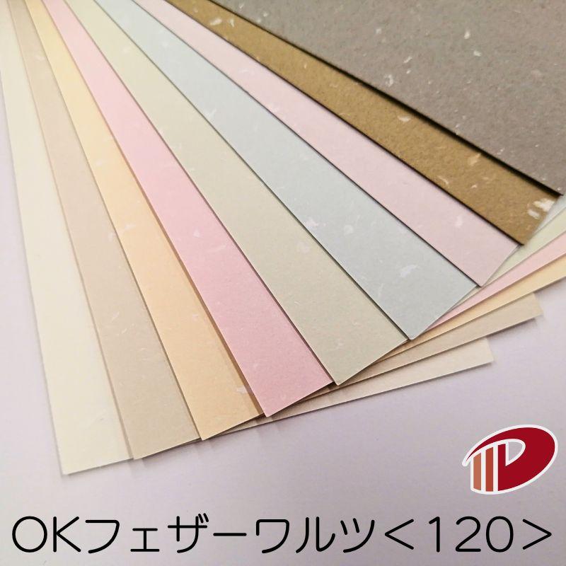 OKフェザーワルツ＜120＞A4/100枚 特殊紙 ファンシーペーパー 印刷