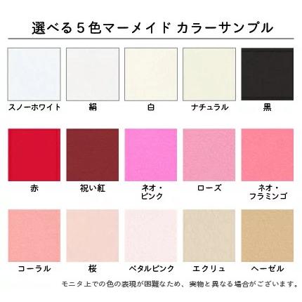 マーメイド＜110＞A4 自由に5色詰め合わせセット /合計50枚 色紙 水彩