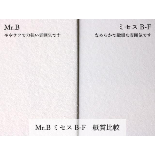 Mr.B＜110＞A3　500枚　0.16mm｜カタログ パンフレット 中綴じ冊子 折りパンフ フライヤー 名刺 ウエディング_3
