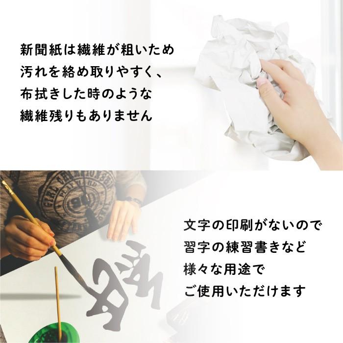新聞紙 梱包材 緩衝材 詰め物 更紙 床材 巣材 100枚 ちょい厚 いぬ うさぎ とり | ブランド登録なし | 10