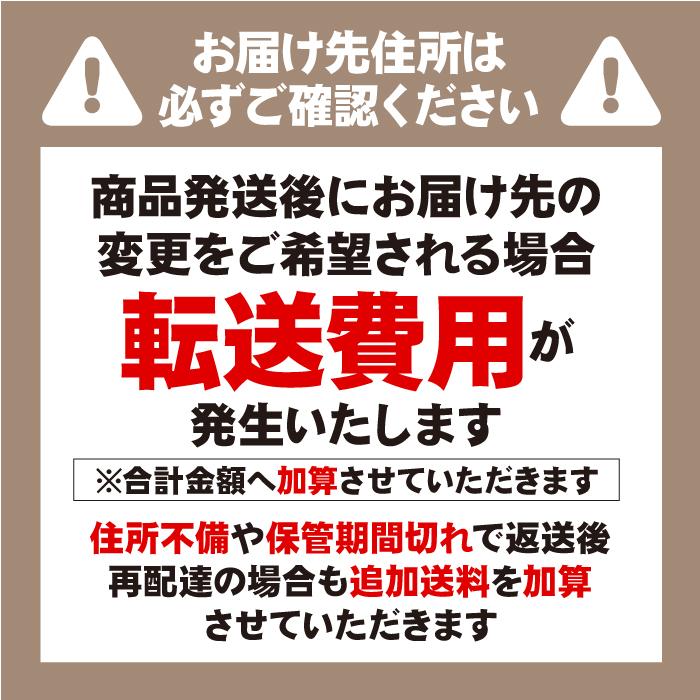 新聞紙 梱包材 緩衝材 詰め物 更紙 床材 巣材 100枚 ちょい厚 いぬ うさぎ とり | ブランド登録なし | 11