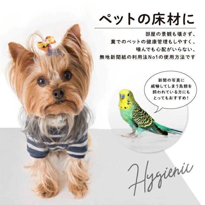 新聞紙 新品の新聞紙 無地新聞紙 梱包材 緩衝材 詰め物 更紙 床材 巣材 5kg いぬ うさぎ とり | ブランド登録なし | 03