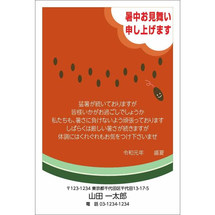 暑中見舞い ポイント2倍 くじ付き 62円 付き 官製 はがき かもめーる 