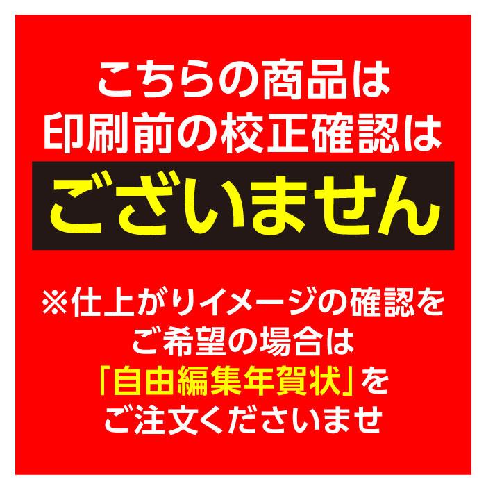 年賀状 年賀はがき 32枚 お年玉付き 2025年 差出人印刷込み 年賀状 年賀はがき 32枚 お年玉付き 2025年 差出人印刷込み