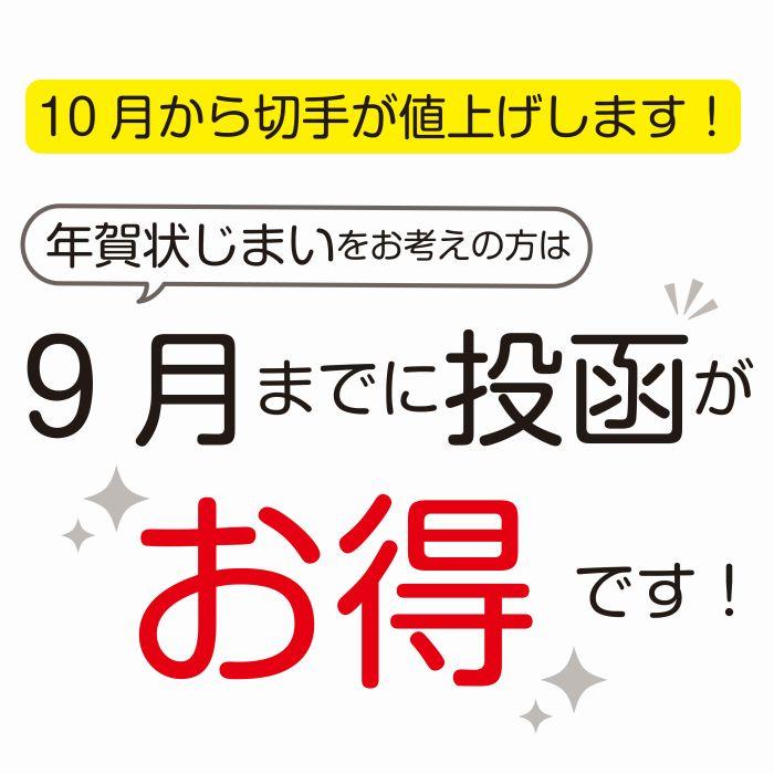 今がお得！切手値上げ迄に投函可能！年賀状じまい 官製はがき 32枚