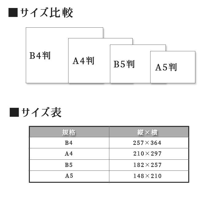 のし紙 蝶結び 熨斗紙 印刷 名前入り 名入れ 御祝い 御挨拶 20枚 A4