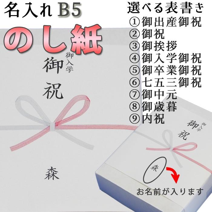 のし紙 蝶結び 熨斗紙 印刷 名前入り 名入れ 御祝い 御挨拶 枚 B5サイズ 送料無料 Nosi T B5 紙ってるyahoo 店 通販 Yahoo ショッピング