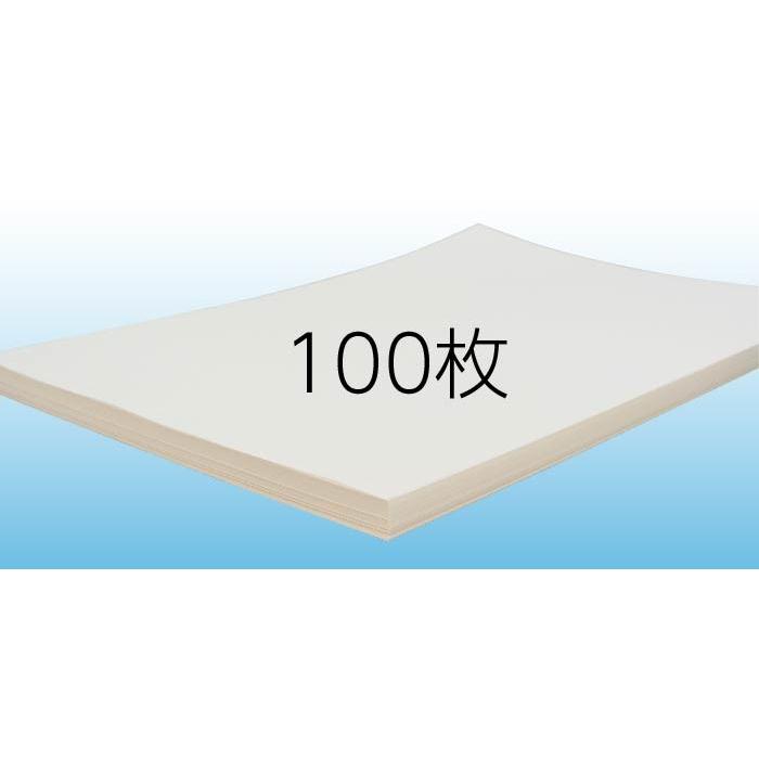 印刷用紙 シルバーダイヤ 100枚 A3ノビ （四六判換算110kg・菊判換算