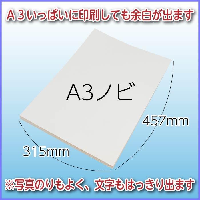 印刷用紙 シルバーダイヤ 100枚 A3ノビ （四六判換算135kg・菊判換算