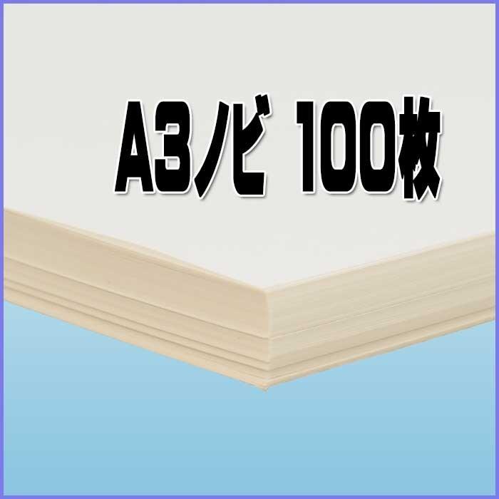 印刷用紙 サンカードプラス 100枚 A3ノビ （四六判換算180kg） 送料