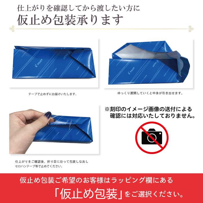パイロット　ホソブト袋入り PILOT（パイロット） 名入れ ボールペン エボルト 2+1 EVOLT BTHE-1SR