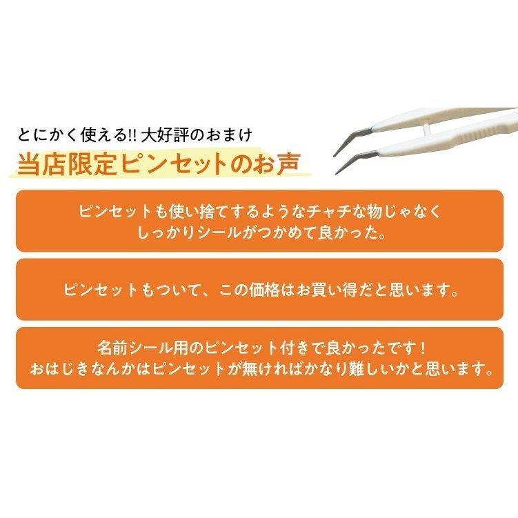 お名前シール 算数セット 精巧ピンセット付 スタンダードタイプ 大増量850枚 おなまえシール 名前 防水 小学生 入学 リニューアル 最短当日発送 ゆうパケット｜kamittell｜31