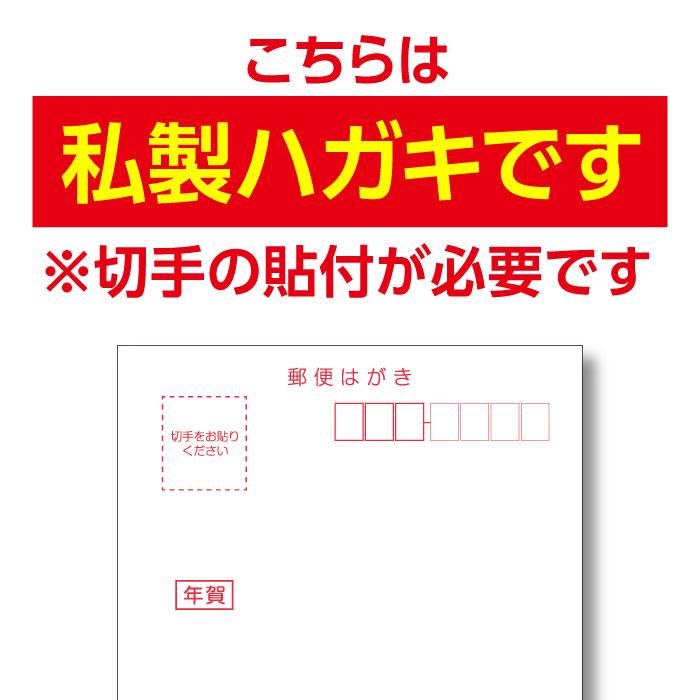 年賀状じまい 終活年賀状 年賀状辞退 私製はがき 12枚 文章印刷済み