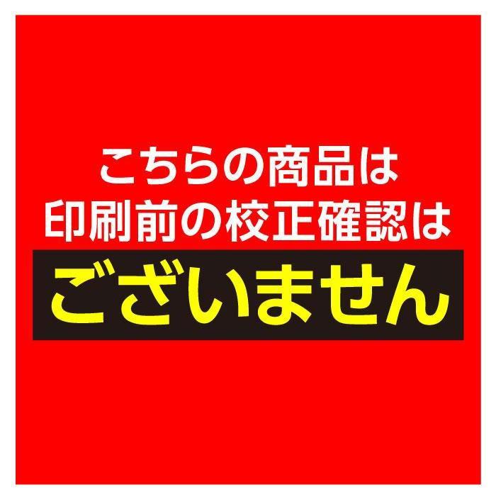 年賀状じまい 終活年賀状 年賀状辞退 私製はがき 20枚 文章印刷済み