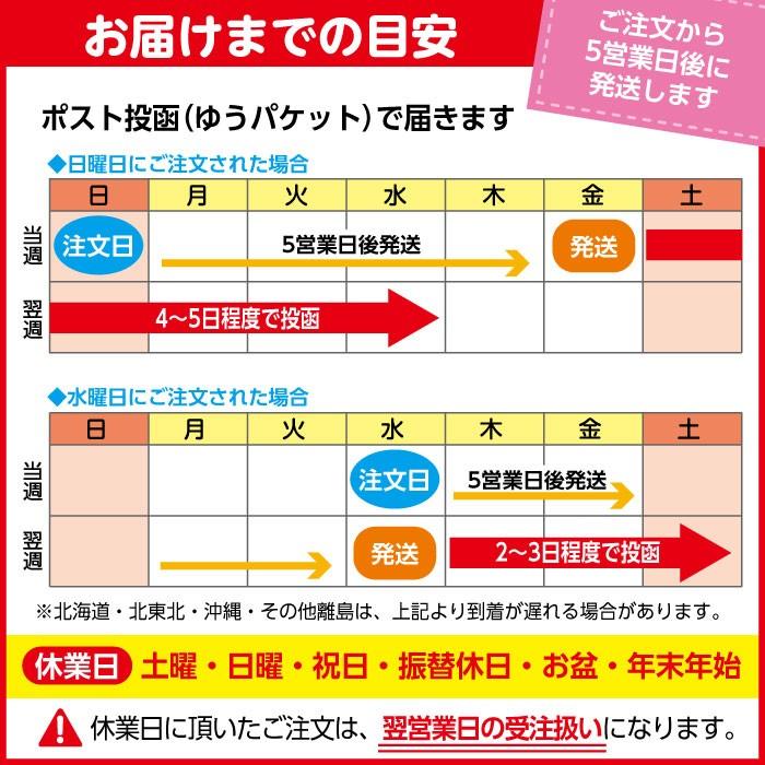市場 お名前スタンプ 人気１８点セット 5営業日後発送 送料無料3 980円 Autoservicetiemcomaat Nl