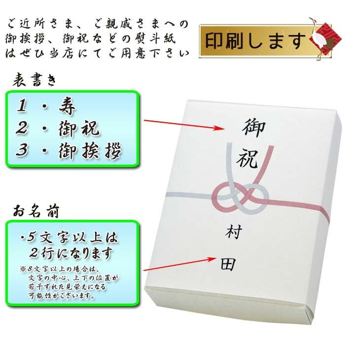 和紙 のし紙 あわじ結び 熨斗紙 印刷 名前入り 名入れ 御祝い 御挨拶