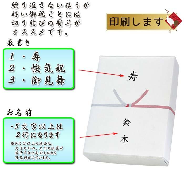 和紙 のし紙 きり結び 熨斗紙 印刷 名前入り 名入れ 寿 御見舞 枚 A5サイズ 送料無料 紙ってるyahoo 店 通販 Paypayモール