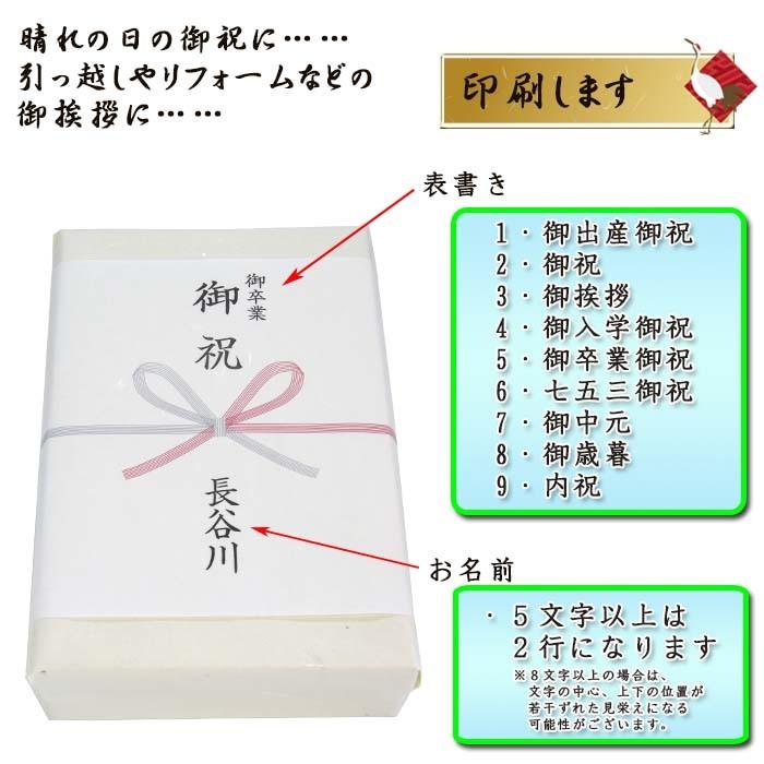 和紙 のし紙 蝶結び 熨斗紙 印刷 名前入り 名入れ 御祝い 御挨拶 20枚 B5サイズ 送料無料｜kamittell｜02