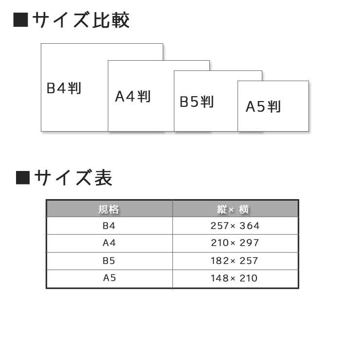 和紙 のし紙 蝶結び 熨斗紙 印刷 名前入り 名入れ 御祝い 御挨拶 20枚 B5サイズ 送料無料｜kamittell｜03