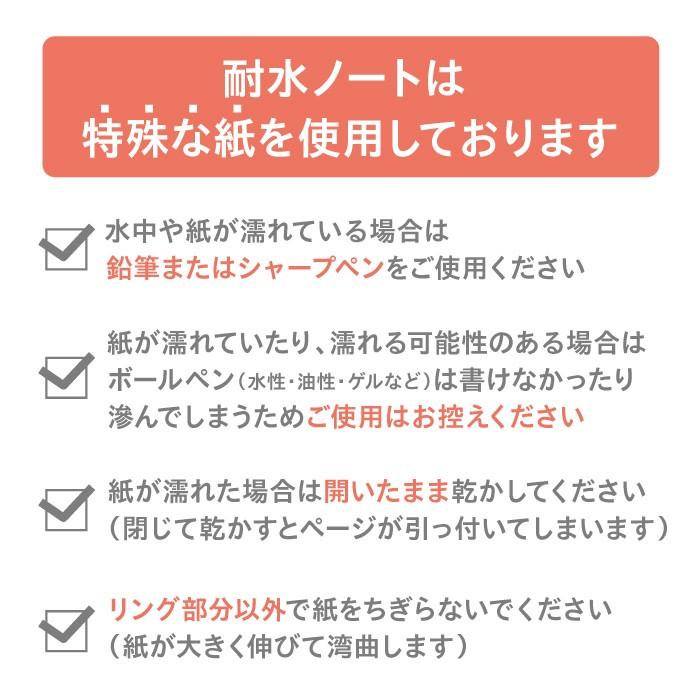 耐水ノート 水中ノート リングノート スキューバ ダイビング トレーニング アウトドア に！ 自由帳 白無地 罫線なし 無罫線 送料無料 | ブランド登録なし | 05