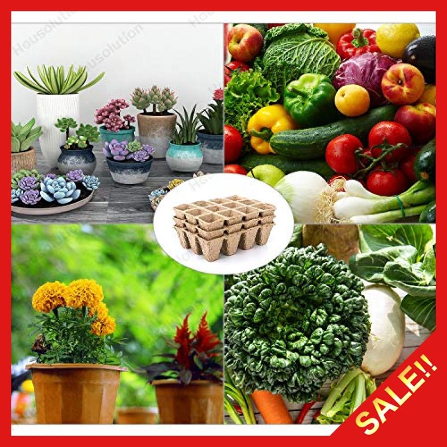 育苗ポット Housolution ジフィーポット 植木鉢 12穴 分解性 種まき 植物栽培 野菜栽培 園芸用品 庭 ガーデンニング Qyv1987 Ospitalita Store 通販 Yahoo ショッピング
