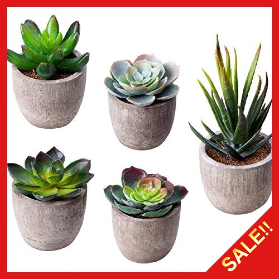 Moonla 光触媒 観葉植物 フェイク グリーン 多肉 植物 造花 人工観葉植物 インテリア 室内用 プレゼント 5セット Rui Ospitalita Store 通販 Yahoo ショッピング