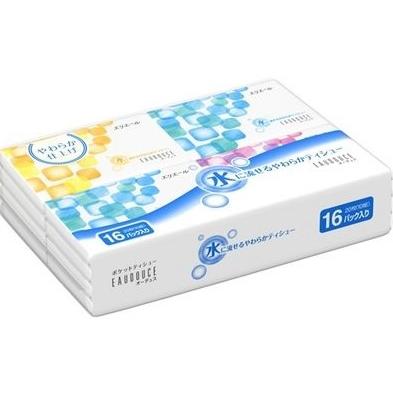 大王製紙　エリエール　オーデュスポケット　20枚（10組）16個パック　72パック入り　まとめ買い　送料無料