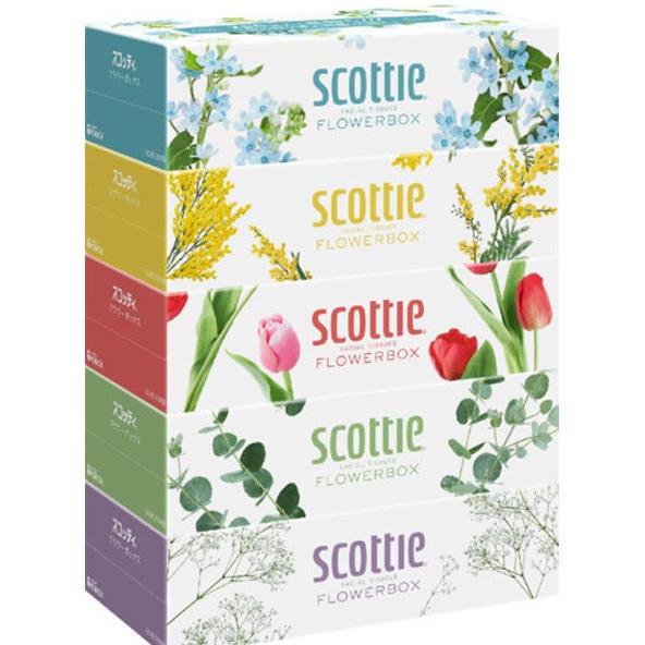 Scottie ボックスティッシュ 100パック ノーブランド品 ティッシュ 5箱パック 200組(400枚) ホワイト